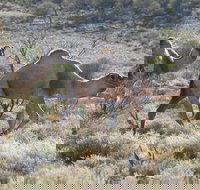 Canning Stock Route - ACT Tourism