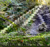 Cascades Walking Track - ACT Tourism