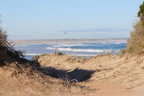 Chadinga Conservation Park - ACT Tourism 1