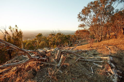 Chick Hill Walk - ACT Tourism 0