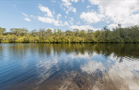 Cockatoo Picnic Area - ACT Tourism 0