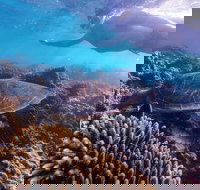 Complete Ningaloo Reef Experience - ACT Tourism