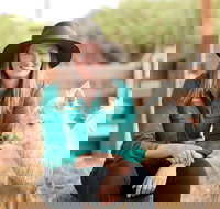 Creswick Woollen Mills - ACT Tourism