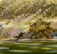 Creswick Regional Park - ACT Tourism