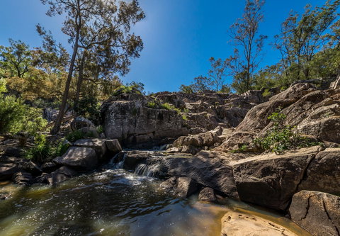 Crows Nest National Park - ACT Tourism 1