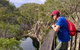 Crows Nest National Park - thumb 2