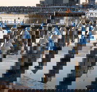 Docklands - ACT Tourism