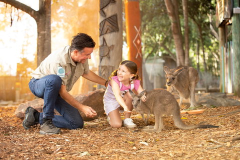 Dreamworld - ACT Tourism 2