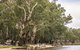 Edward River - thumb 0