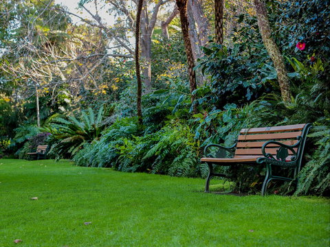 EG Waterhouse National Camellia Gardens - ACT Tourism 0