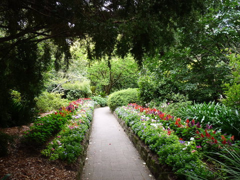 EG Waterhouse National Camellia Gardens - ACT Tourism 1