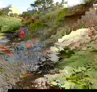 Gold Panning Deep Creek - ACT Tourism