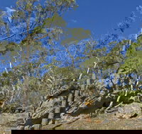 Green track - ACT Tourism