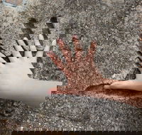 Hands of Fame Park - ACT Tourism