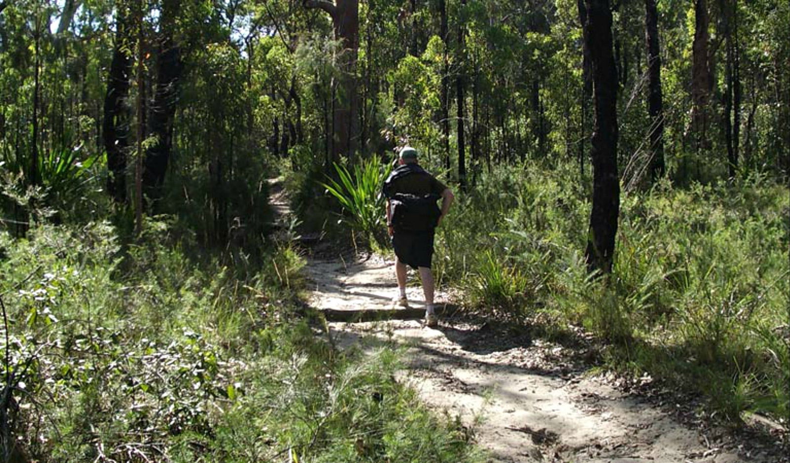 Woronora Heights NSW ACT Tourism