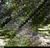 Karloo Walking Track - ACT Tourism