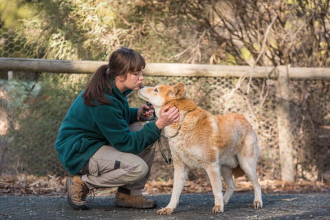 Kyabram Fauna Park - ACT Tourism 1