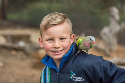 Kyabram Fauna Park - ACT Tourism 2