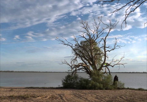 Lake Benanee - ACT Tourism 0