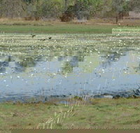 Leaning Tree Lagoon Nature Park - ACT Tourism