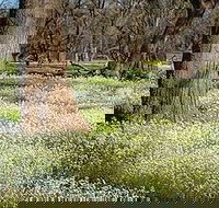 Leaghur State Park - ACT Tourism