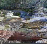 Liffey Falls Reserve - ACT Tourism