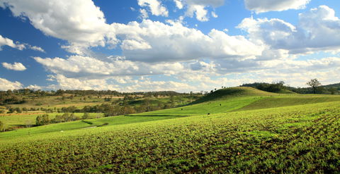 Lions Park, Hodgson Vale - ACT Tourism 0