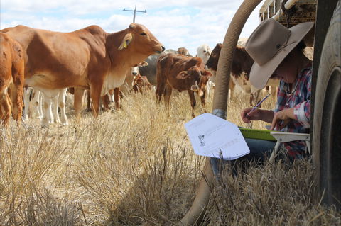 Longreach School Of Distance Education - ACT Tourism 2