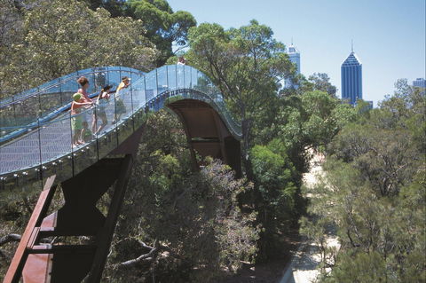 Lotterywest Federation Walkway - Kings Park - ACT Tourism 1