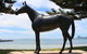 Makybe Diva Statue - thumb 1