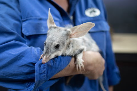 Matilda Way - ACT Tourism 2