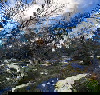 Mount Torbreck Summit Walk - ACT Tourism