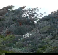 Mount Yarrowyck Nature Reserve - ACT Tourism