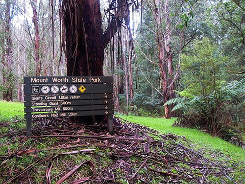 Mount Worth State Park - ACT Tourism 0