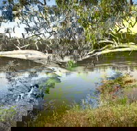Murray Valley National Park - ACT Tourism