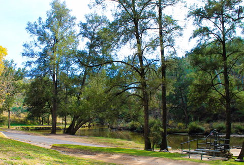 Ophir Reserve - ACT Tourism 1