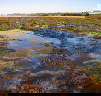 Point Danger Marine Sanctuary - ACT Tourism
