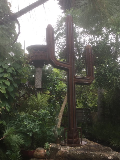 Roraima Nursery And Cafe - ACT Tourism 2