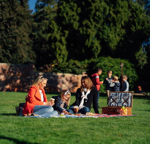 Royal Tasmanian Botanical Gardens - ACT Tourism 0