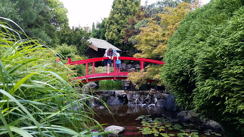 Royal Tasmanian Botanical Gardens - ACT Tourism 1