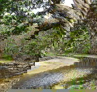 Saltwater National Park - ACT Tourism