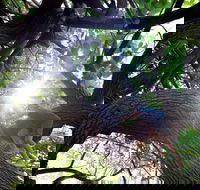 Scarborough Beach Park - ACT Tourism