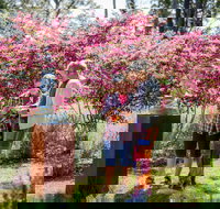 Sculpture at Petana - ACT Tourism