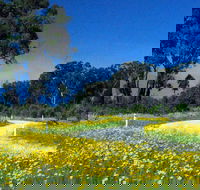 Shearer's Way - ACT Tourism