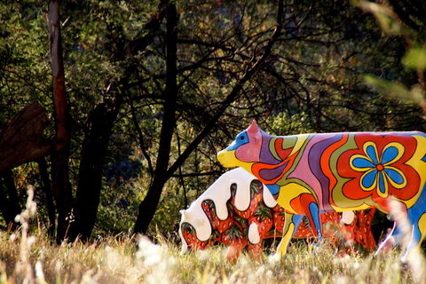 Shepparton - ACT Tourism 1