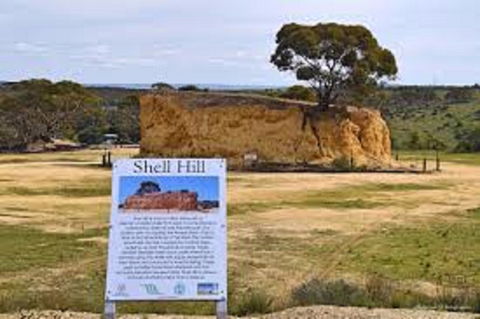 Shell Hill Reserve - ACT Tourism 0