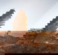 The Living Desert and Sculptures - ACT Tourism