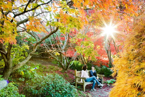 The Blue Mountains Botanic Garden, Mount Tomah - ACT Tourism 0