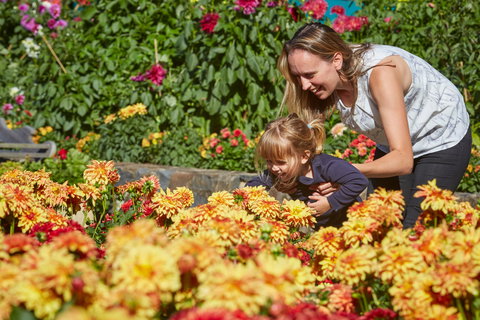 The Blue Mountains Botanic Garden, Mount Tomah - ACT Tourism 1