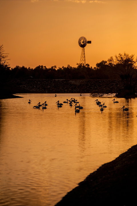 Thomson River, Longreach - ACT Tourism 2